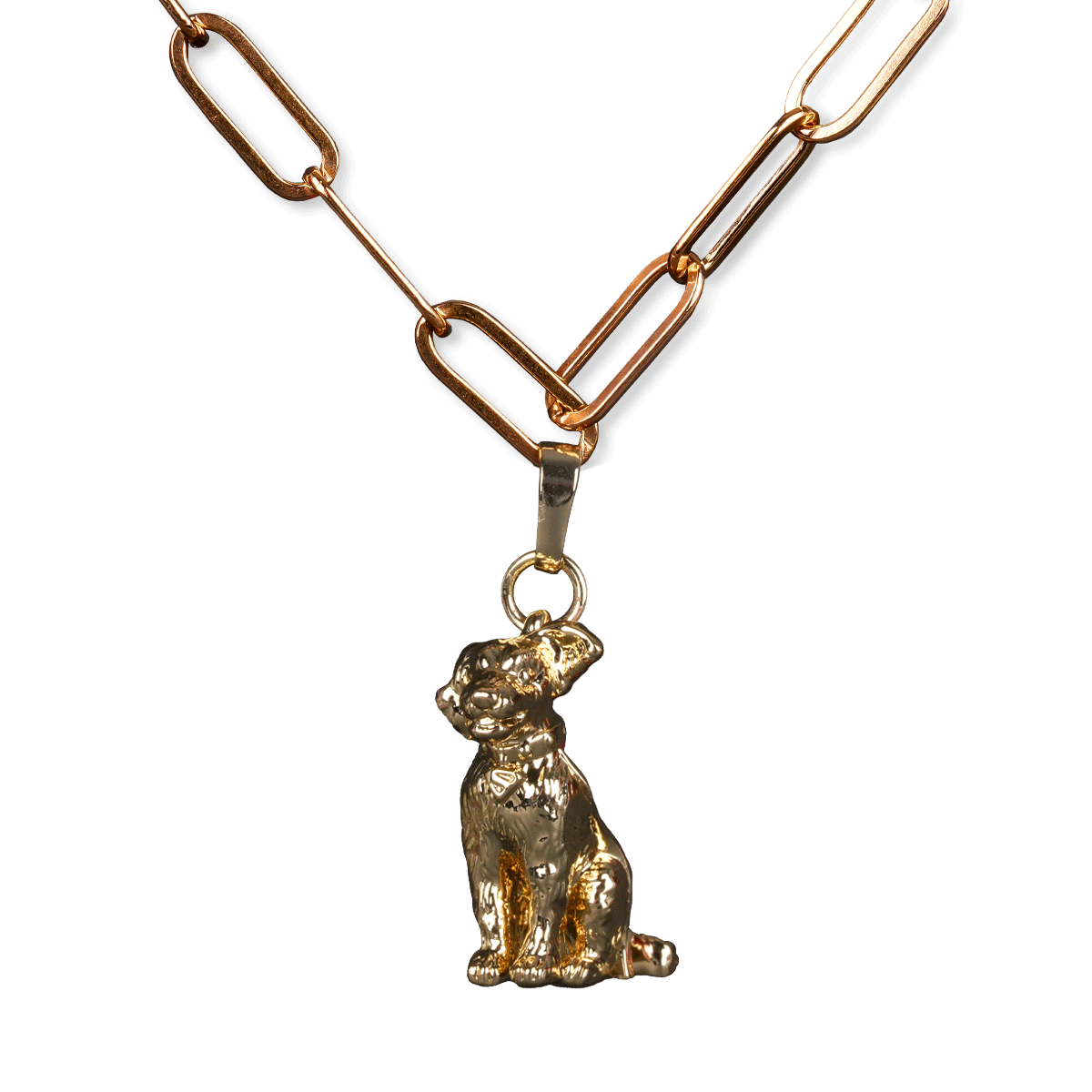 SUPERGIRL Krypto Charm on a chain