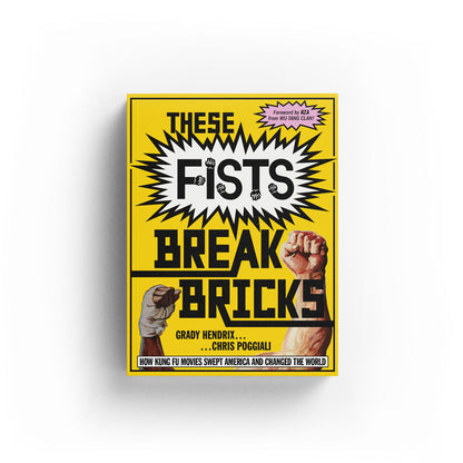 These Fists Break Bricks book